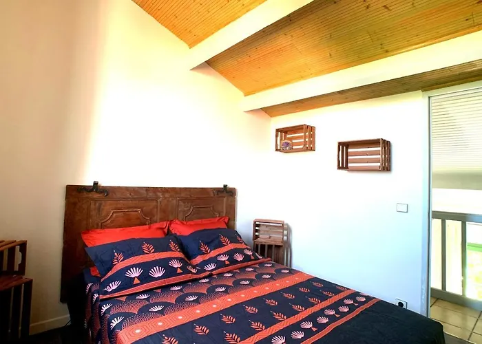 Apartment Renovated 2 Bedroom Duplex In The Center Of